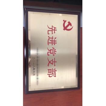 木拖+铜 奖牌定制定做牌匾35*50cm也可定制尺寸企业定制 彩印工艺